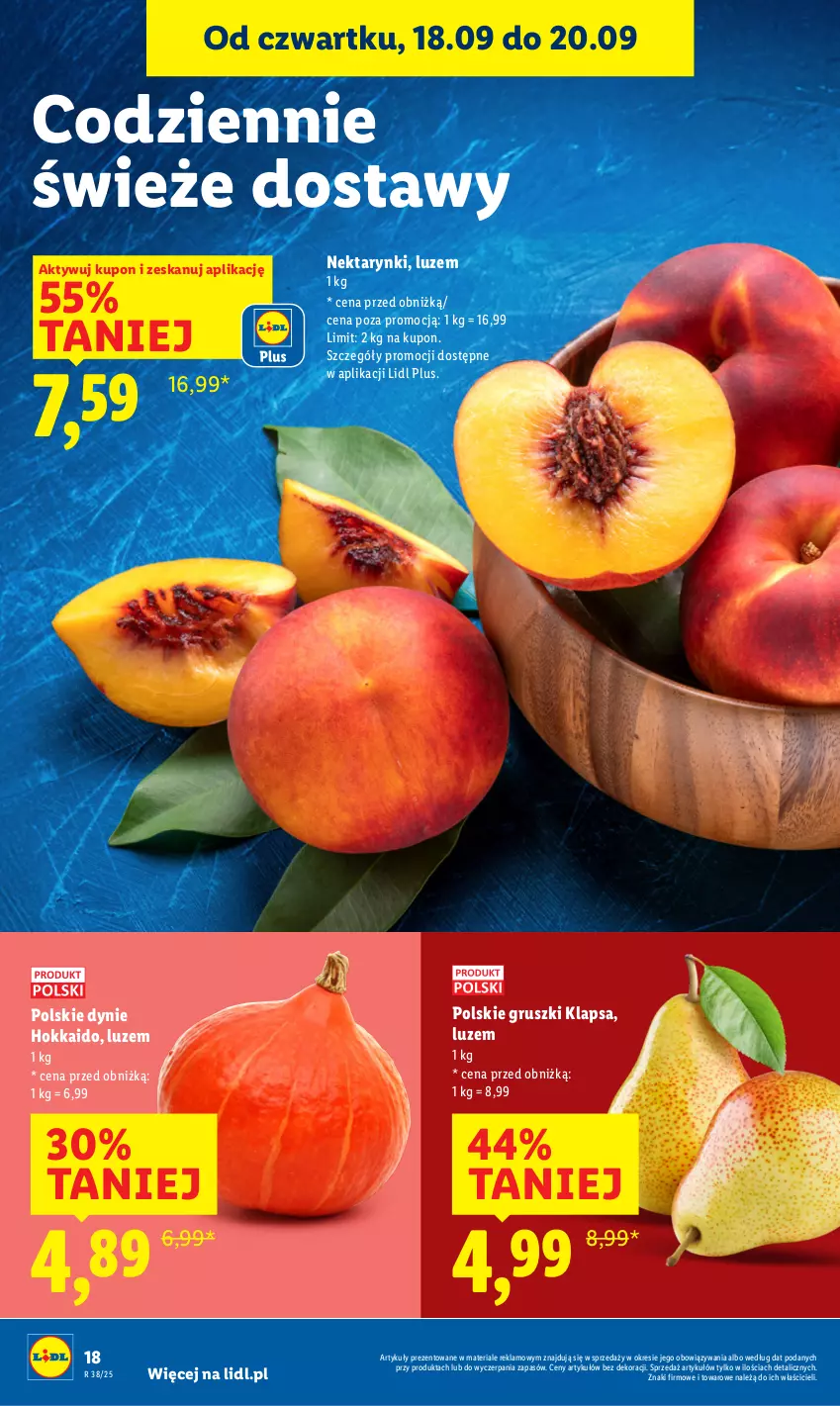 Gazetka promocyjna Lidl - GAZETKA - ważna 18.09 do 20.09.2025 - strona 18 - produkty: Gruszki, Nektar