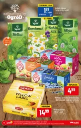 Gazetka promocyjna PoloMarket - Gazetka pomocyjna - Gazetka - ważna od 28.02 do 28.02.2022 - strona 48 - produkty: Teekanne, Herbata, Herbata owocowa, LG