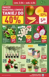 Gazetka promocyjna Aldi - Oferta weekendowa - Gazetka - ważna od 04.04 do 04.04.2026 - strona 9 - produkty: Piec, Warzywa, Koc, Warzywa i owoce, Tarta, Sałat, Owoce, Mieszanka sałat, Mango, Miecz