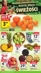 Gazetka promocyjna Intermarche - Gazetka promocyjna - Gazetka - ważna od 14.01 do 14.01.2026 - strona 10 - produkty: Borówka, Borówka amerykańska, Ananas, Chipsy, Kiwi, Owoce