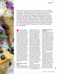 Gazetka promocyjna Drogerie Natura - Gazetka Drogerie Natura - Gazetka - ważna od 30.06 do 30.06.2022 - strona 23 - produkty: Top, Ser, Ryż, Cukier, Ksylitol, Dell, Lody, Syrop, Rodzynki, Znicz, Deser, Kakao, Omega-3, Kokos, LG