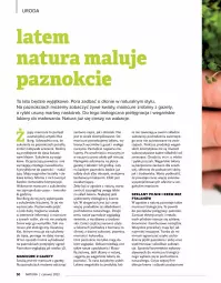 Gazetka promocyjna Drogerie Natura - Gazetka Drogerie Natura - Gazetka - ważna od 30.06 do 30.06.2022 - strona 50 - produkty: Piec, Por, Gin, Gra, Klej, O nas, Pilnik, Nuty, Obraz, Ogród, Sukulent, Lakier, Mleko