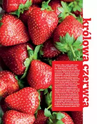 Gazetka promocyjna Drogerie Natura - Gazetka Drogerie Natura - Gazetka - ważna od 30.06 do 30.06.2022 - strona 6 - produkty: Ludwik, Rum, Por, Koc, Gin, Królewski, Truskawki, Owoce