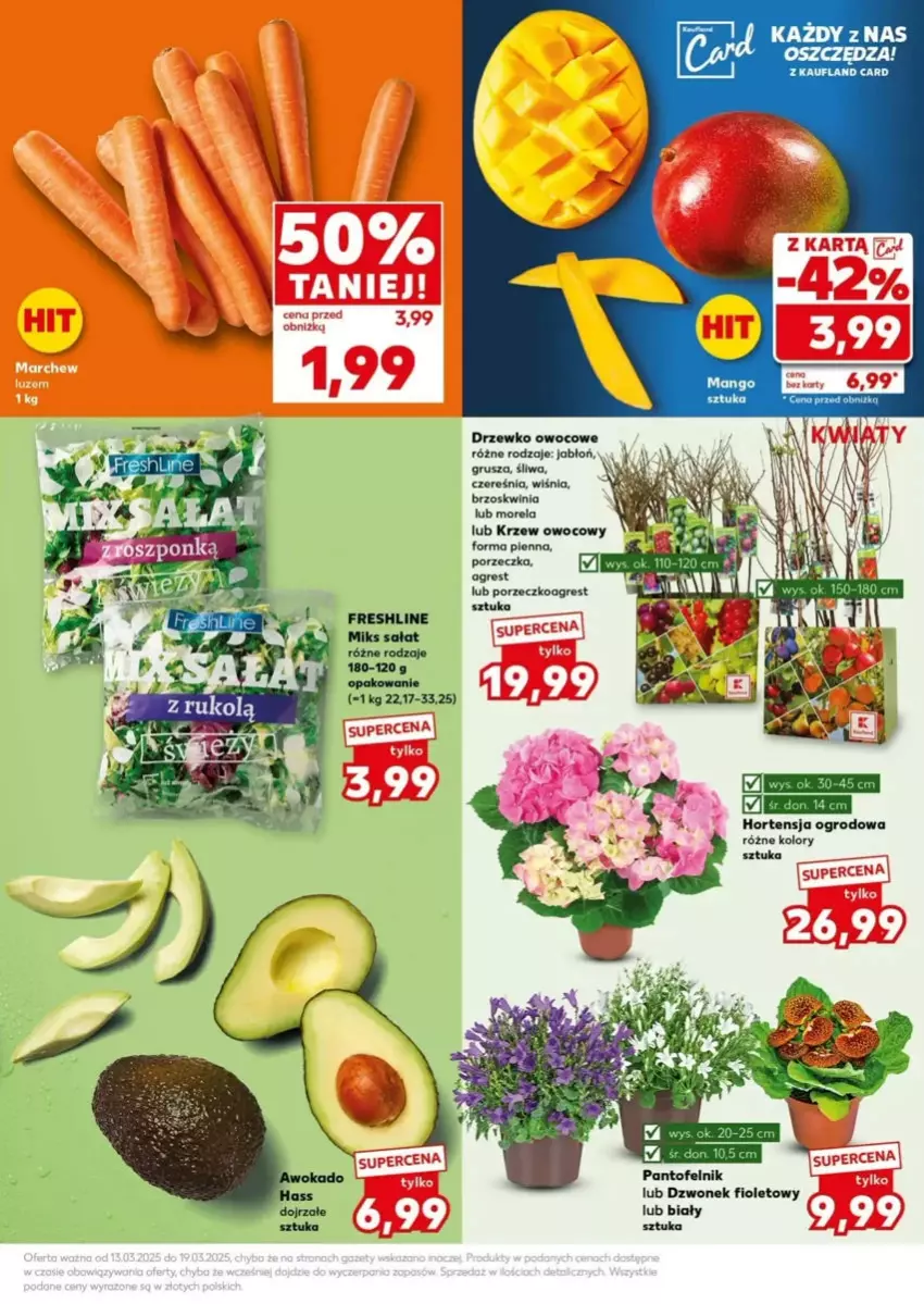 Gazetka promocyjna Kaufland - ważna 17.03 do 19.03.2025 - strona 22 - produkty: Dzwonek, Gres, Morela, Por, Sałat