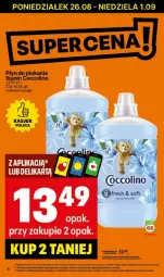 Gazetka promocyjna Delikatesy Centrum - Gazetka - ważna od 28.08 do 28.08.2024 - strona 24 - produkty: Rum, Coccolino, Płyn do płukania