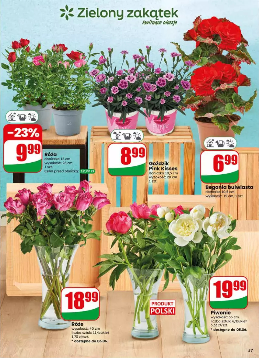 Gazetka promocyjna Dino - Gazetka 23 / 2026 - ważna 03.06 do 09.06.2026 - strona 57 - produkty: Bukiet, Piwo, Sok