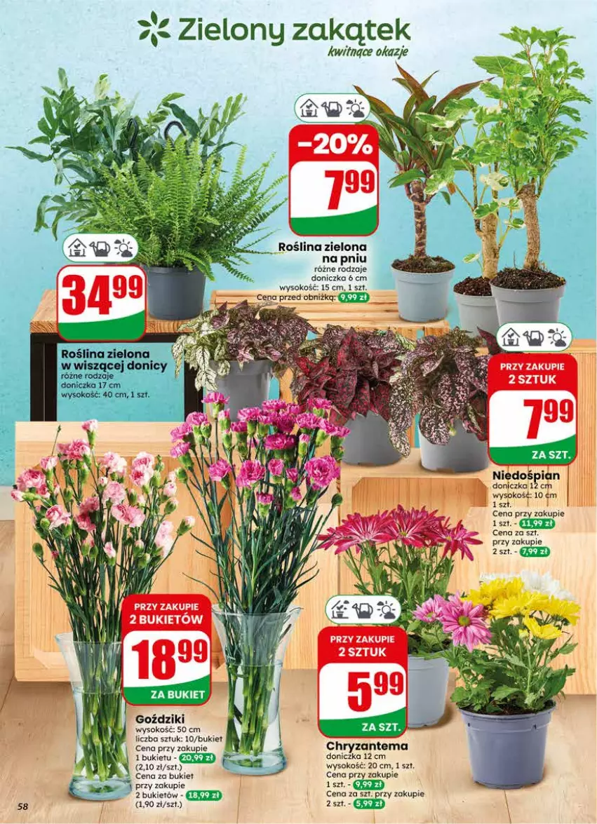 Gazetka promocyjna Dino - Gazetka 23 / 2026 - ważna 03.06 do 09.06.2026 - strona 58 - produkty: Bukiet, Sok