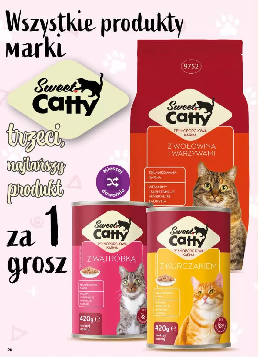 Gazetka promocyjna Dino - Gazetka 23 / 2026 - ważna 03.06 do 09.06.2026 - strona 66 - produkty: Por