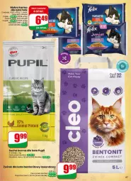 Gazetka promocyjna Dino - Gazetka 23 / 2026 - Gazetka - ważna od 09.06 do 09.06.2026 - strona 67 - produkty: Mokra karma, Fanta, Felix, Sucha karma, Fa