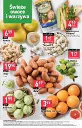 Gazetka promocyjna Stokrotka - Market - Gazetka - ważna od 21.02 do 21.02.2024 - strona 9 - produkty: Warzywa, Czosnek, Pomelo, Limonka, Owoce, Mięso, Grejpfrut, Imbir