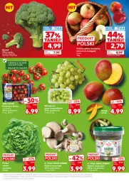 Gazetka promocyjna Kaufland - Mocny Start - Gazetka - ważna od 13.05 do 13.05.2026 - strona 11 - produkty: Jonagold, Szampion, Pomidory, Jabłka, Boczniak