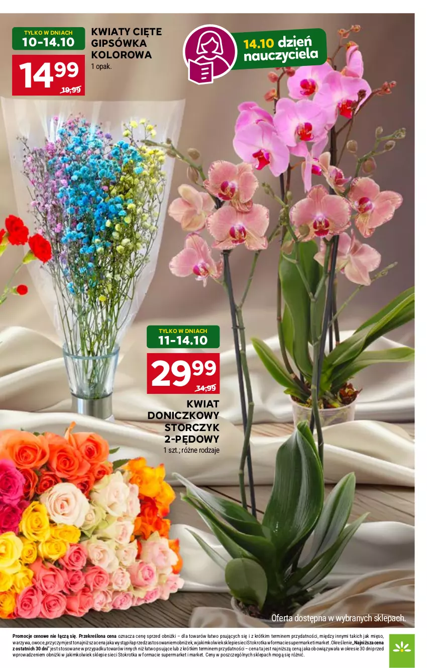 Gazetka promocyjna Stokrotka - Market - ważna 09.10 do 15.10.2025 - strona 7 - produkty: Kwiaty cięte, Mięso, Owoce, Storczyk, Warzywa