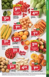 Gazetka promocyjna Stokrotka - Market - Gazetka - ważna od 15.10 do 15.10.2025 - strona 17 - produkty: Cebula, Warzywa, Pietruszka, Ziemniaki, Owoce, Mango, Pomidory, Rzodkiewka, Mięso, Kukurydza, Grejpfrut