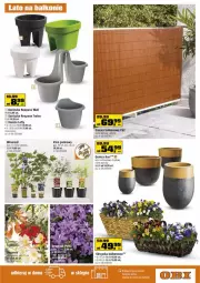 Gazetka promocyjna Obi - Ogród wielu możliwości - Gazetka - ważna od 24.05 do 24.05.2021 - strona 3 - produkty: Por, Dzwonek, Wino, Fa