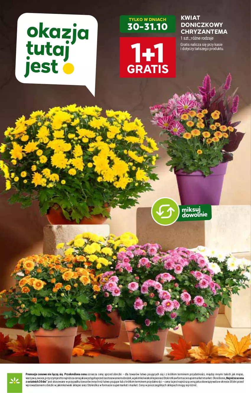 Gazetka promocyjna Stokrotka - Market - ważna 30.10 do 05.11.2025 - strona 21 - produkty: Chryzantema, Gra, Mięso, Owoce, Warzywa