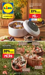 Gazetka promocyjna Lidl - GAZETKA - Gazetka - ważna od 31.08 do 31.08.2024 - strona 48 - produkty: Silvercrest, Grzyby, Kosz, Suszarka