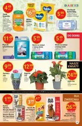 Gazetka promocyjna Delikatesy Centrum - Gazetka DC01 n.fresh - Gazetka - ważna od 12.01 do 12.01.2022 - strona 27 - produkty: Kurczak, Warzywa, Gerber, Worki na śmieci, BoboVita, Bukiet warzyw, Chusteczki, Worki na śmiec, Bukiet, Płyn do spryskiwaczy, Pedigree, Mleko
