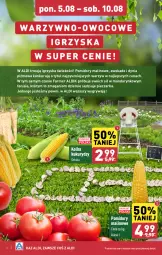 Gazetka promocyjna Aldi - Farmer ALDIK poleca świeże owoce i warzywa - Gazetka - ważna od 10.08 do 10.08.2024 - strona 4 - produkty: Piec, Gry, Pieczarka, Pomidory, Fa