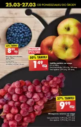 Gazetka promocyjna Biedronka - Od poniedzialku - Gazetka - ważna od 30.03 do 30.03.2024 - strona 19 - produkty: Borówka, Borówka amerykańska, Wino