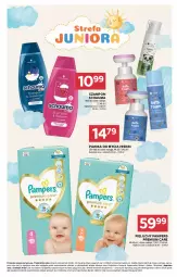 Gazetka promocyjna Stokrotka - Market - Gazetka - ważna od 15.04 do 15.04.2026 - strona 25 - produkty: Warzywa, Pampers, Pieluchy, Optima, Schauma, Szampon, Owoce, Mięso