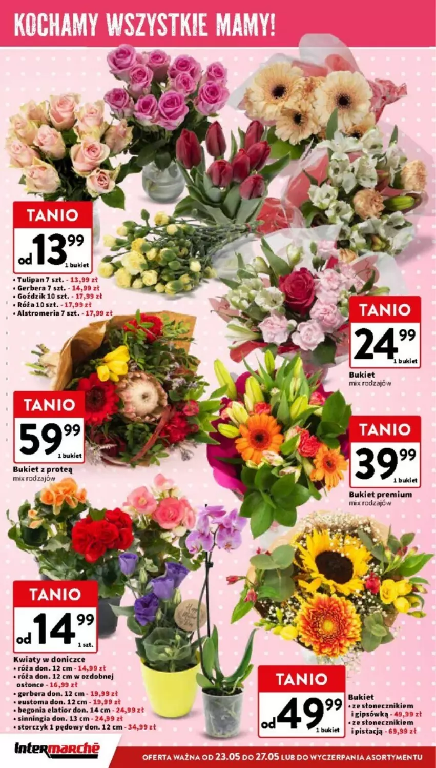 Gazetka promocyjna Intermarche - ważna 22.05 do 27.05.2024 - strona 12 - produkty: Bukiet, Gerber, Róża, Storczyk, Tulipan