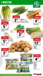 Gazetka promocyjna Intermarche - Gazetka - ważna od 27.05 do 27.05.2024 - strona 11 - produkty: Warzywa, Czosnek, Salsa, Sałat, Natka pietruszki