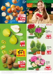Gazetka promocyjna Kaufland - Gazetka tygodnia - Gazetka - ważna od 09.04 do 09.04.2025 - strona 21 - produkty: Cebula, Gra, Kiwi
