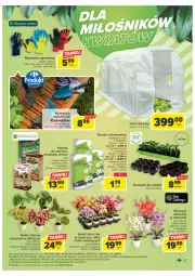 Gazetka promocyjna Carrefour - Gazetka Carrefour - Gazetka - ważna od 04.03 do 04.03.2023 - strona 29 - produkty: Storczyk, Rękawice, Tunel, Nawóz