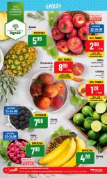 Gazetka promocyjna PoloMarket - Gazetka pomocyjna - Gazetka - ważna od 27.06 do 27.06.2023 - strona 10 - produkty: Ananas, Limonka, Ogród, Jabłka