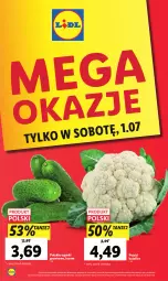 Gazetka promocyjna Lidl - GAZETKA - Gazetka - ważna od 01.07 do 01.07.2023 - strona 7 - produkty: Kalafior, Grunt
