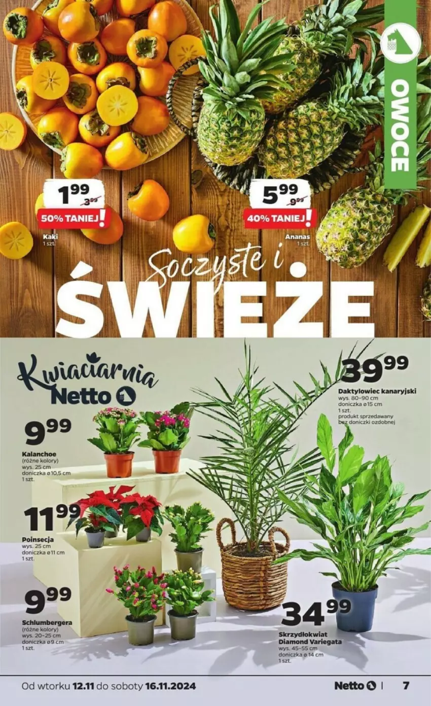 Gazetka promocyjna Netto - ważna 12.11 do 16.11.2024 - strona 25 - produkty: Poinsecja