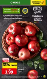 Gazetka promocyjna Lidl - GAZETKA - Gazetka - ważna od 04.01 do 04.01.2025 - strona 15 - produkty: Owoce, Jabłka