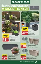Gazetka promocyjna Aldi - Pełna oferta - Gazetka - ważna od 24.03 do 24.03.2024 - strona 43 - produkty: Kask