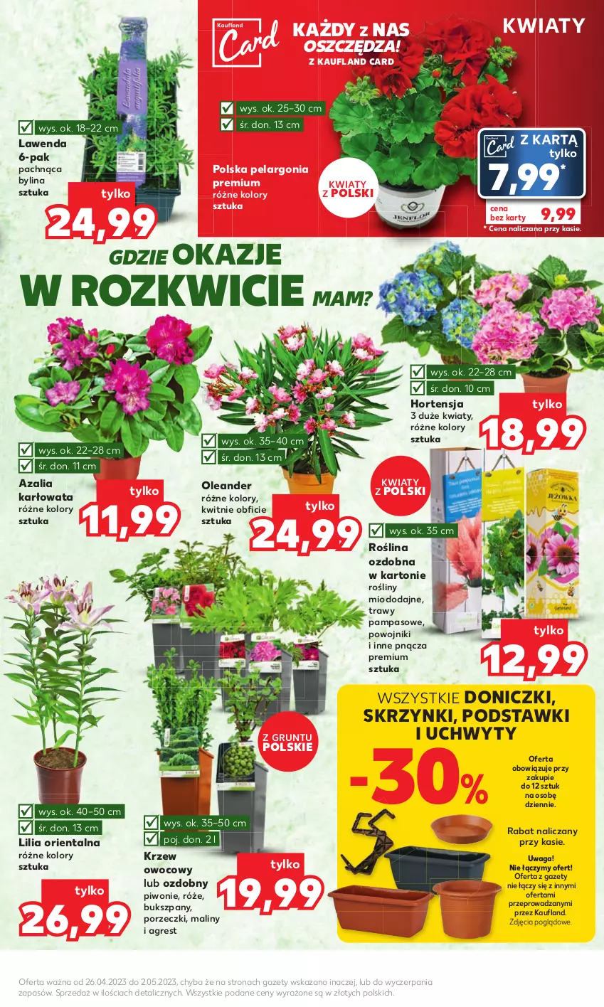 Gazetka promocyjna Kaufland - Mocny Start - ważna 02.05 do 02.05.2023 - strona 7 - produkty: Gres, Grunt, Maliny, Piwo, Por, Uchwyty, Waga