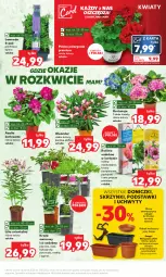 Gazetka promocyjna Kaufland - Mocny Start - Gazetka - ważna od 02.05 do 02.05.2023 - strona 7 - produkty: Piwo, Por, Uchwyty, Maliny, Waga, Grunt, Gres