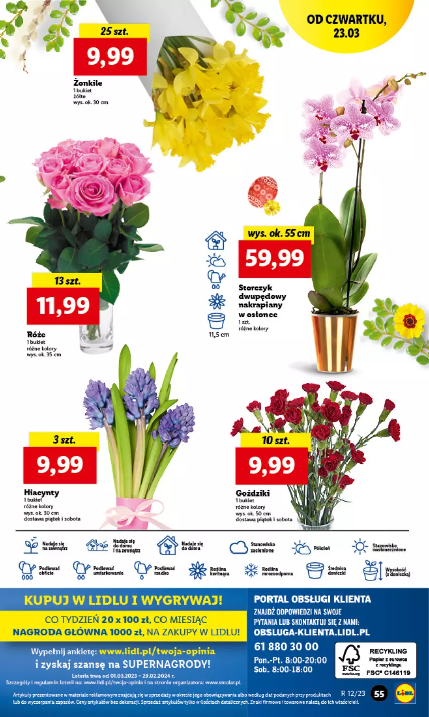 Gazetka promocyjna Lidl - GAZETKA - ważna 23.03 do 25.03.2023 - strona 63 - produkty: Bukiet, Gry, Hiacynt, Mola, Papier, Por, Portal, Storczyk