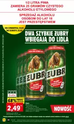 Gazetka promocyjna Lidl - GAZETKA - Gazetka - ważna od 25.03 do 25.03.2023 - strona 46 - produkty: Kasztelan, Heineken, Tyskie, Carlsberg, Syrop