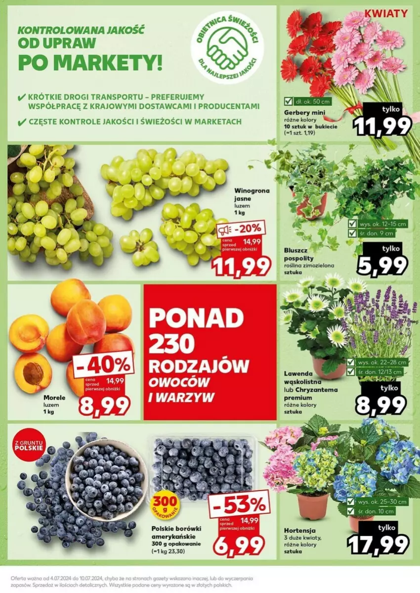 Gazetka promocyjna Kaufland - ważna 08.07 do 10.07.2024 - strona 3 - produkty: LG, Por, Sport, Tran, Wino, Winogrona