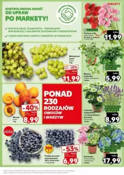 Gazetka promocyjna Kaufland - Gazetka - ważna od 10.07 do 10.07.2024 - strona 3 - produkty: Por, Tran, Winogrona, Sport, Wino, LG