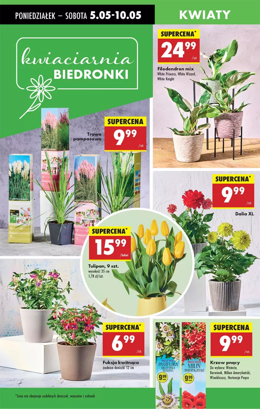 Gazetka promocyjna Biedronka - Od Poniedziałku - ważna 05.05 do 10.05.2025 - strona 67 - produkty: Flora, Sok, Tulipan, Wazon, Wino