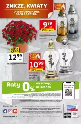 Gazetka promocyjna Auchan - Pewność niskich cen Hipermarket - Gazetka - ważna od 05.11 do 05.11.2025 - strona 45 - produkty: Gra, Rama, Chryzantema, Kosz, Tera, Znicz, Waga, Mięta