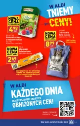 Gazetka promocyjna Aldi - Pełna oferta - Gazetka - ważna od 24.02 do 24.02.2024 - strona 33 - produkty: Maliny, Danio, Owoce, Herbata