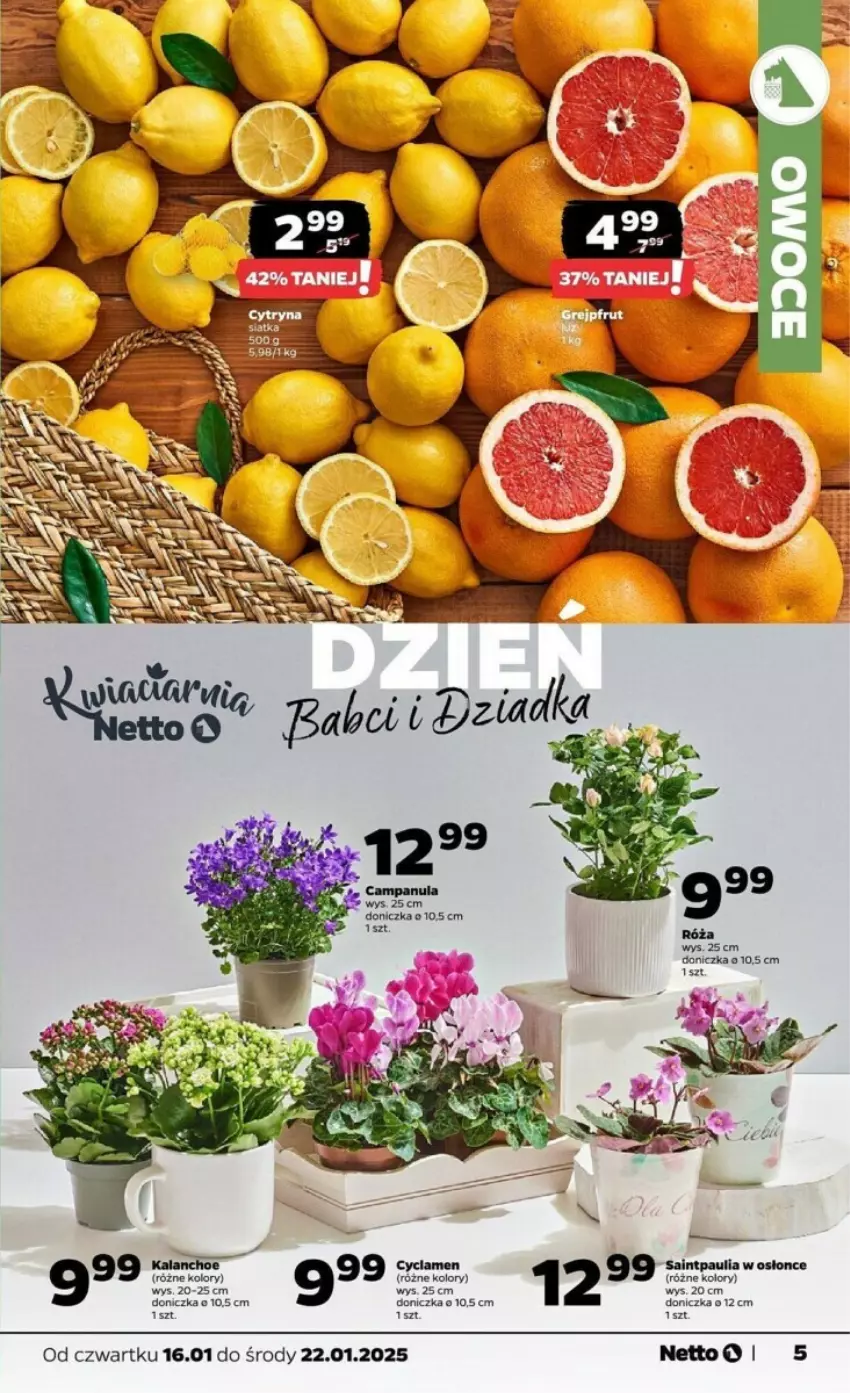 Gazetka promocyjna Netto - ważna 16.01 do 22.01.2025 - strona 14 - produkty: Kalanchoe