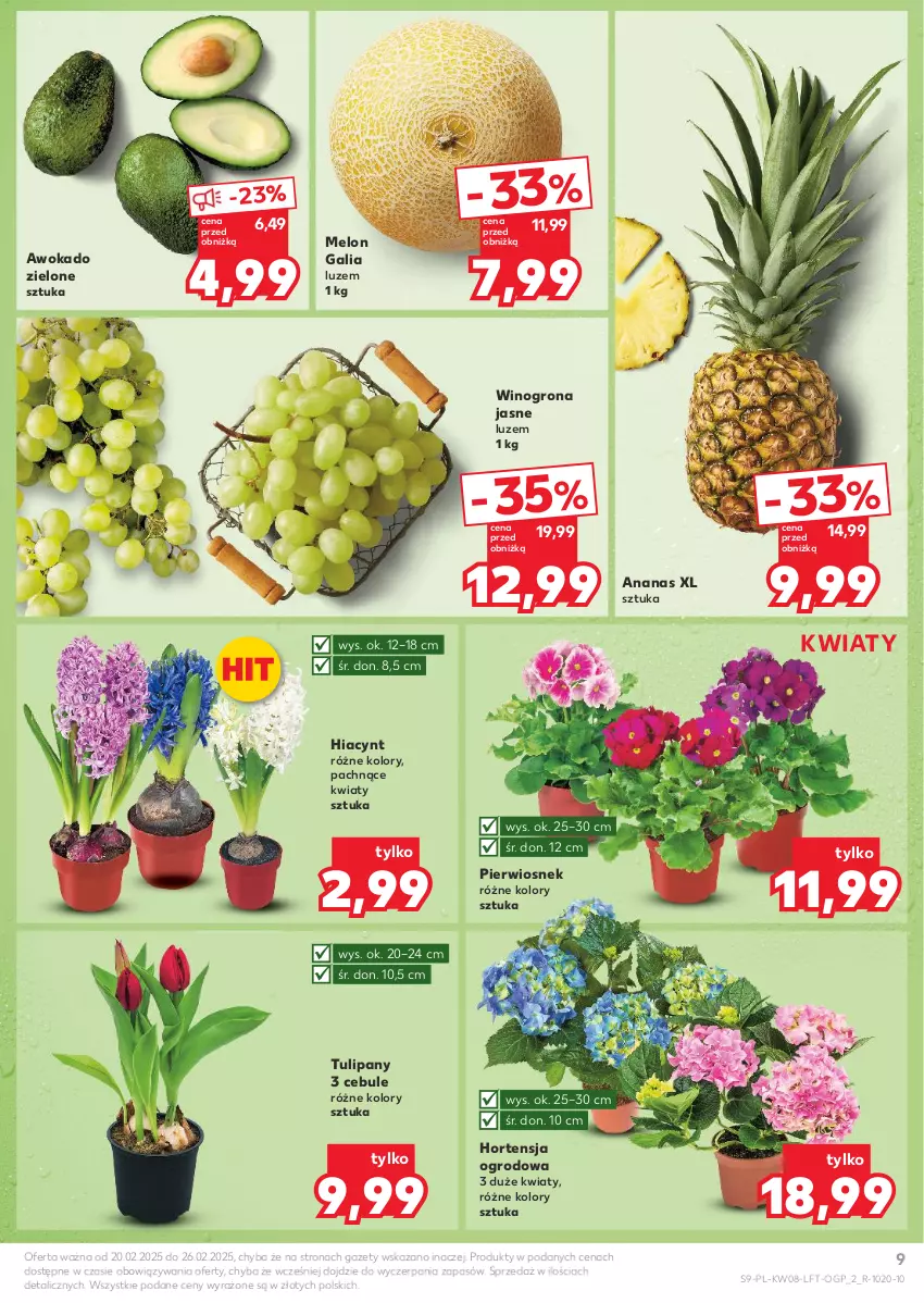 Gazetka promocyjna Kaufland - Gazetka tygodnia - ważna 20.02 do 26.02.2025 - strona 9 - produkty: Ananas, Hiacynt, Melon, Tulipan, Wino, Winogrona