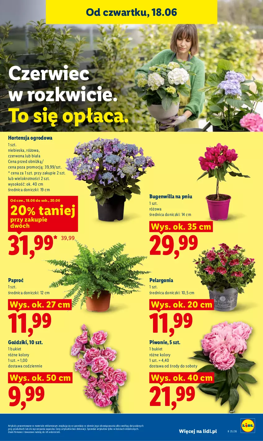 Gazetka promocyjna Lidl - Gazetka ważna od 18.06 do 20.06 - ważna 18.06 do 20.06.2026 - strona 79 - produkty: Bukiet, Piwo, Sok