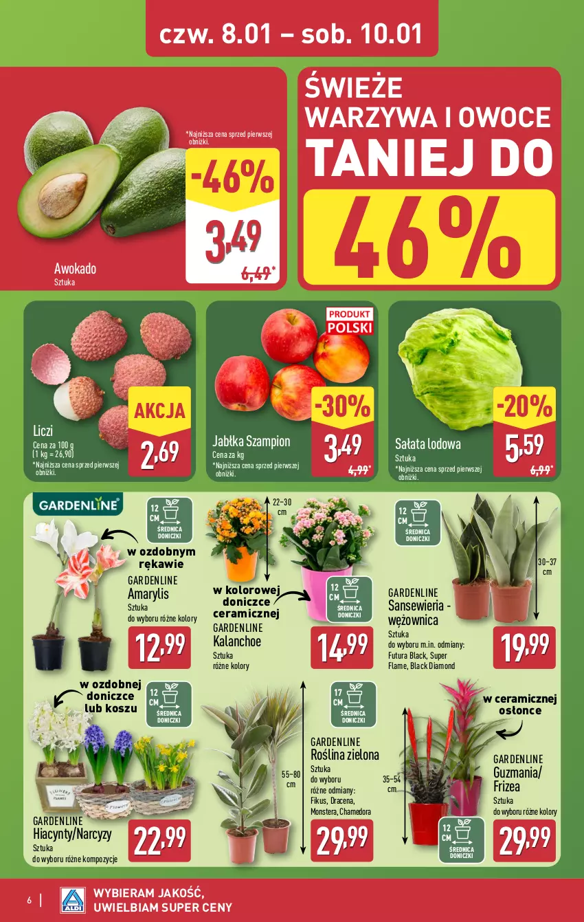 Gazetka promocyjna Aldi - Okazje weekendowe - ważna 08.01 do 10.01.2026 - strona 6 - produkty: Amarylis, Hiacynt, Jabłka, Kalanchoe, Kosz, Lack, Liczi, Narcyz, Owoce, Sałat, Sałata lodowa, Szampion, Tera, Warzywa, Warzywa i owoce