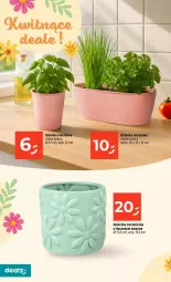 Gazetka promocyjna Dealz - NOWA GAZETKA - Gazetka - ważna od 25.02 do 25.02.2026 - strona 24 - produkty: Osłonka