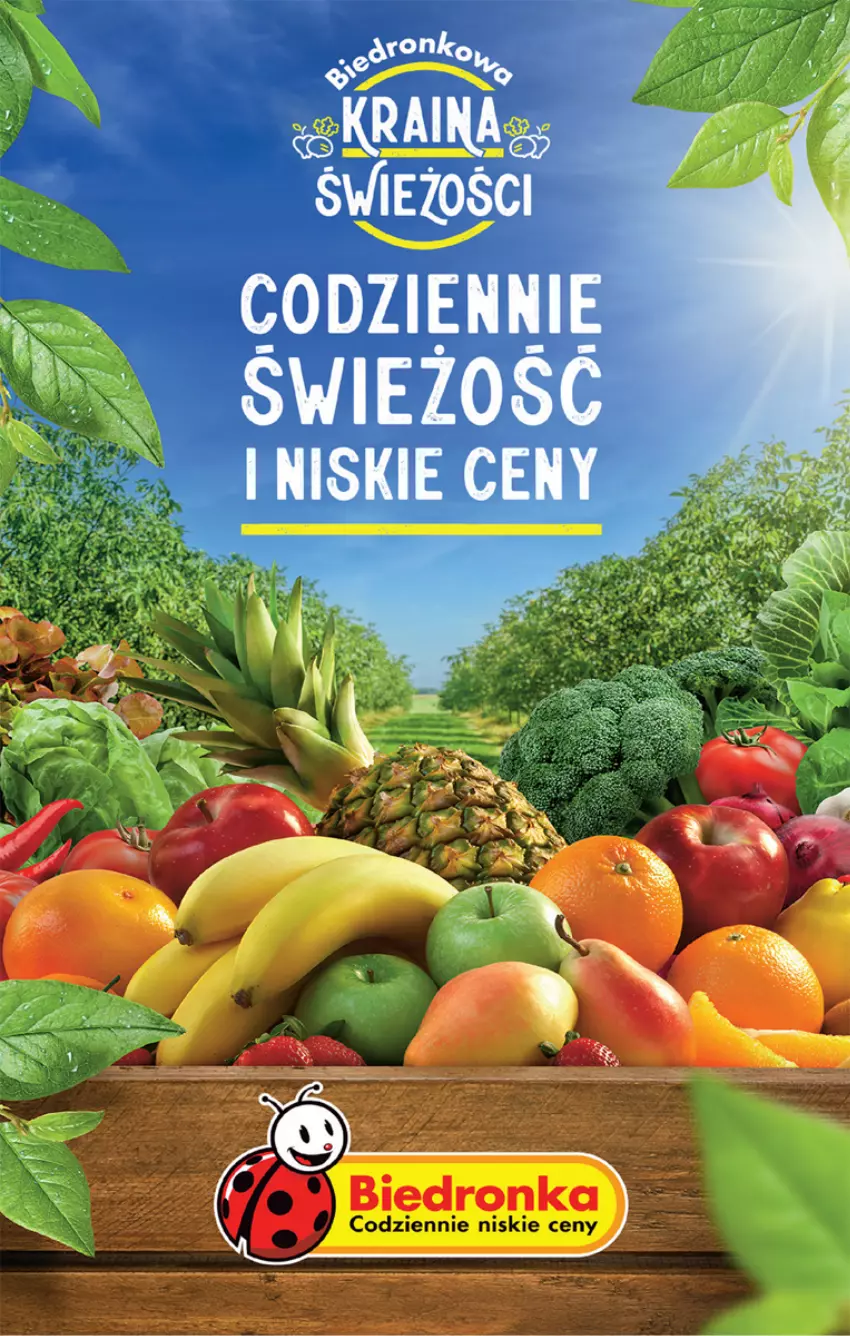 Gazetka promocyjna Biedronka - Od poniedzialku - ważna 18.12 do 23.12.2023 - strona 22