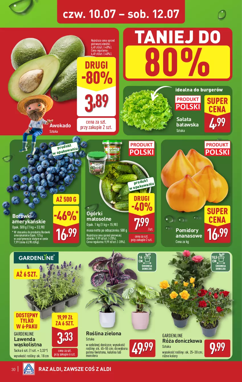 Gazetka promocyjna Aldi - Pełna oferta - ważna 07.07 do 12.07.2025 - strona 30 - produkty: Ananas, Burger, Palma, Pomidory, Róża, Sałat, Sok, Tera
