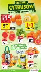 Gazetka promocyjna Intermarche - Gazetka promocyjna - Gazetka - ważna od 21.01 do 21.01.2026 - strona 17 - produkty: Ser, Gra, Pomelo, Limonka